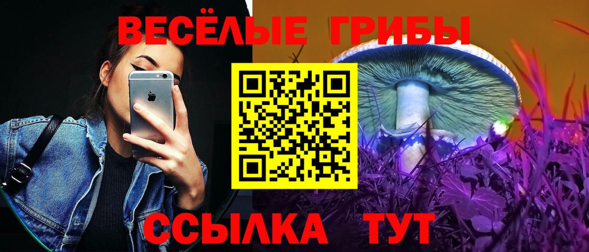 Псилоцибиновые грибы Magic Shrooms Донецк
