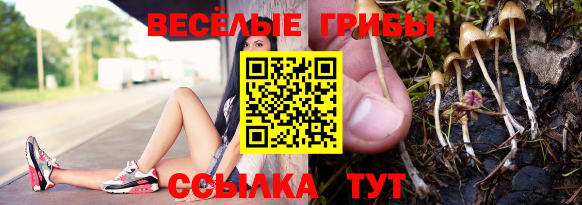 Галлюциногенные грибы MAGIC MUSHROOMS  Вход с VPN  Донецк 